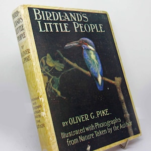 Bird Book, Birdlands Little People 1920 Bird watching illustrated Vintage Ornithology Hardback Nature Antique Science Biology