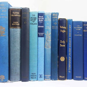 Antique and vintage Adopt a Book, old books Loved hardback books Vintage Book for book lovers image 7