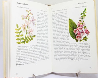 Vintage Garden Flowers Illustrated Plants 80s Flower Picture book Flowers guide Old Retro