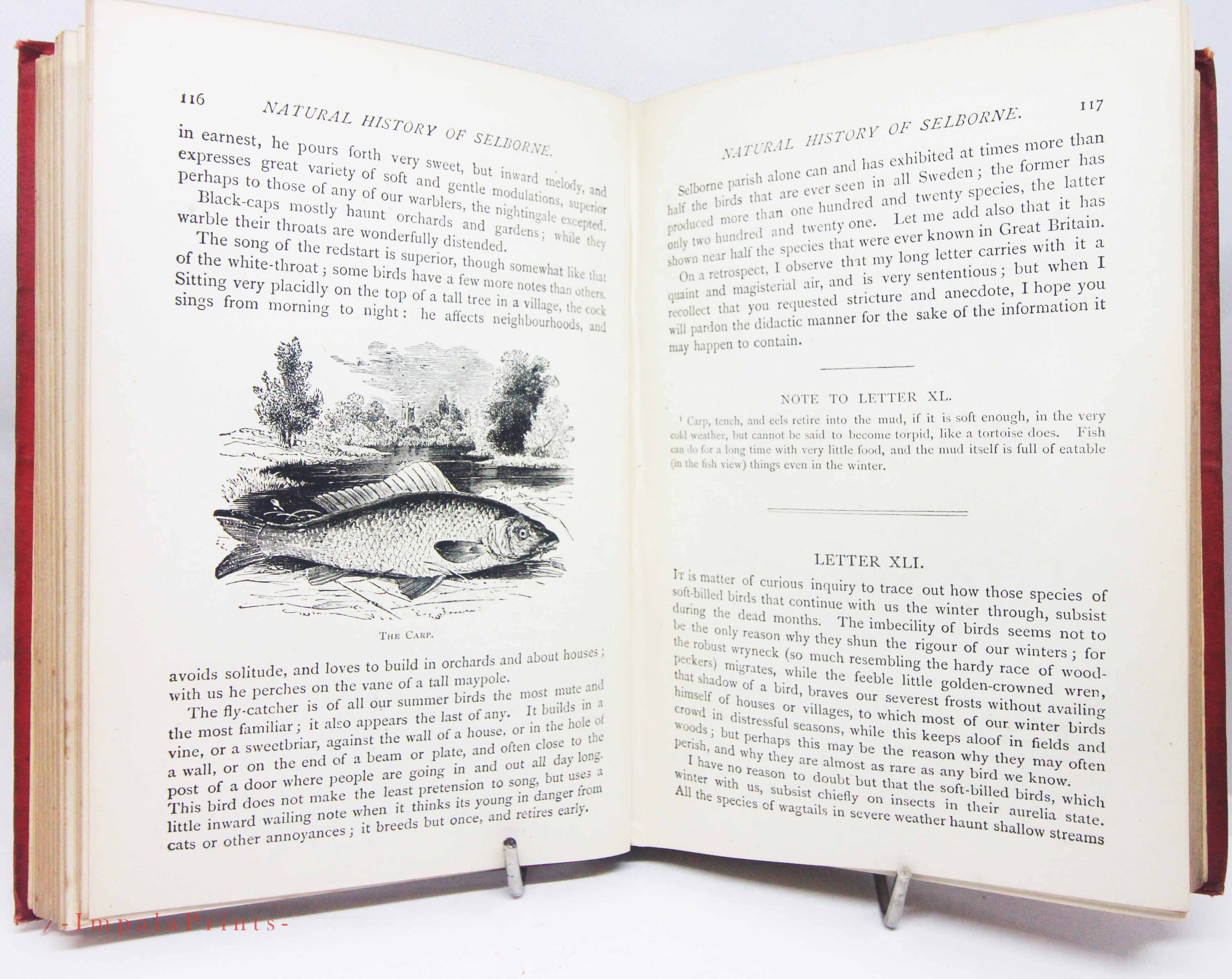 Amazon.com: The Natural History of Selborne: 9780199591961