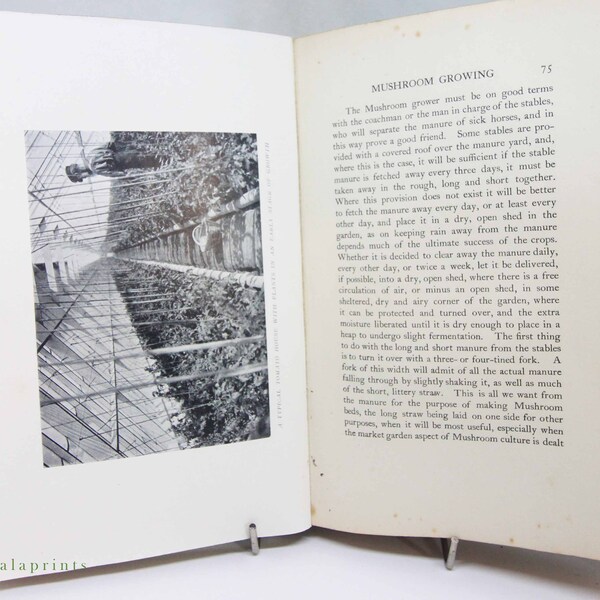 Vintage Garden Book - Etsy UK
