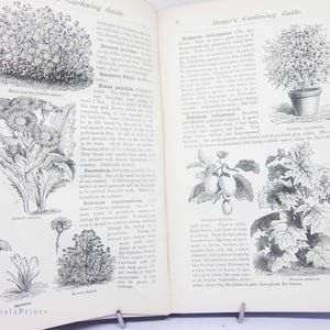 Antique Flower Gardening Book 1883 Vintage illustrated Books old book garden design and flower guide