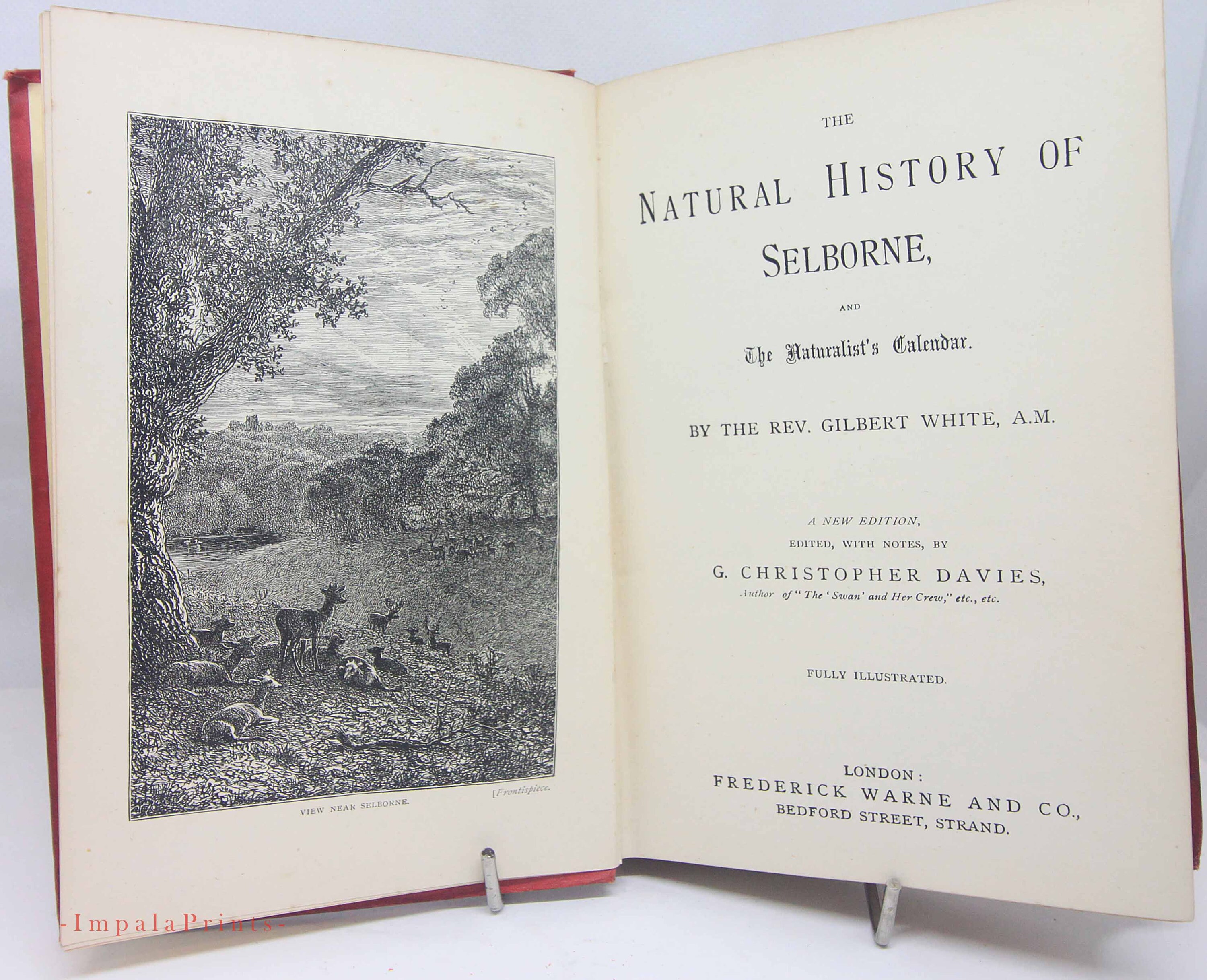 Natural History Selborne Hardback Vintage Antique Book 1800s