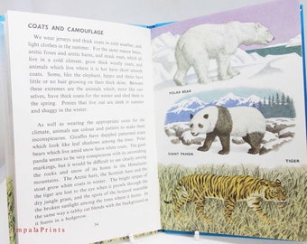 Animals and How They Live – Vintage 1960s Ladybird Book with Full-Color Illustrations | Nature & Natural History  Collectible Guide