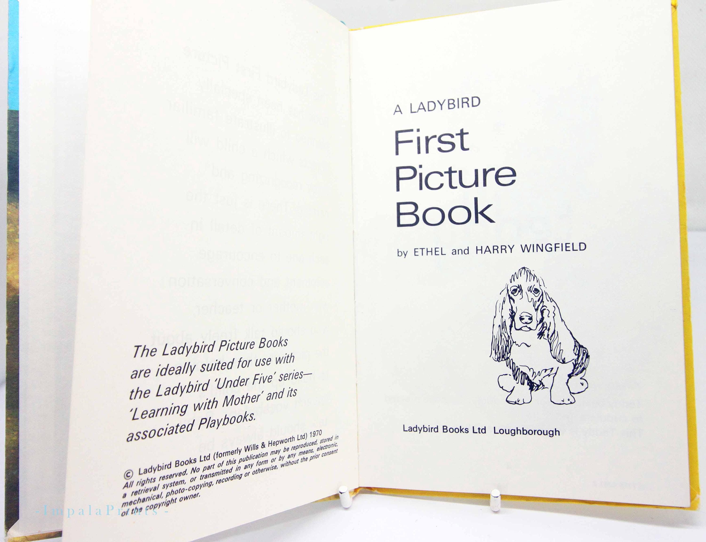 Vintage Ladybird Children's Travel Book: 1970s Illustrated