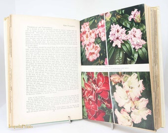 All About Gardening Vintage Books old book Famous garden design and flower guide Illustrated gifts