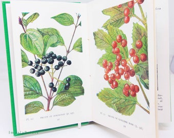 Trees and shrubs guide book flower book Illustrated Plants picture book Flowers guide Old Retro