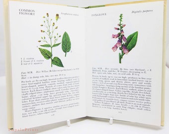 Wild Flowers Illustrated Plants Flower Picture book gifts Flowers guide Old Retro Vintage gifts