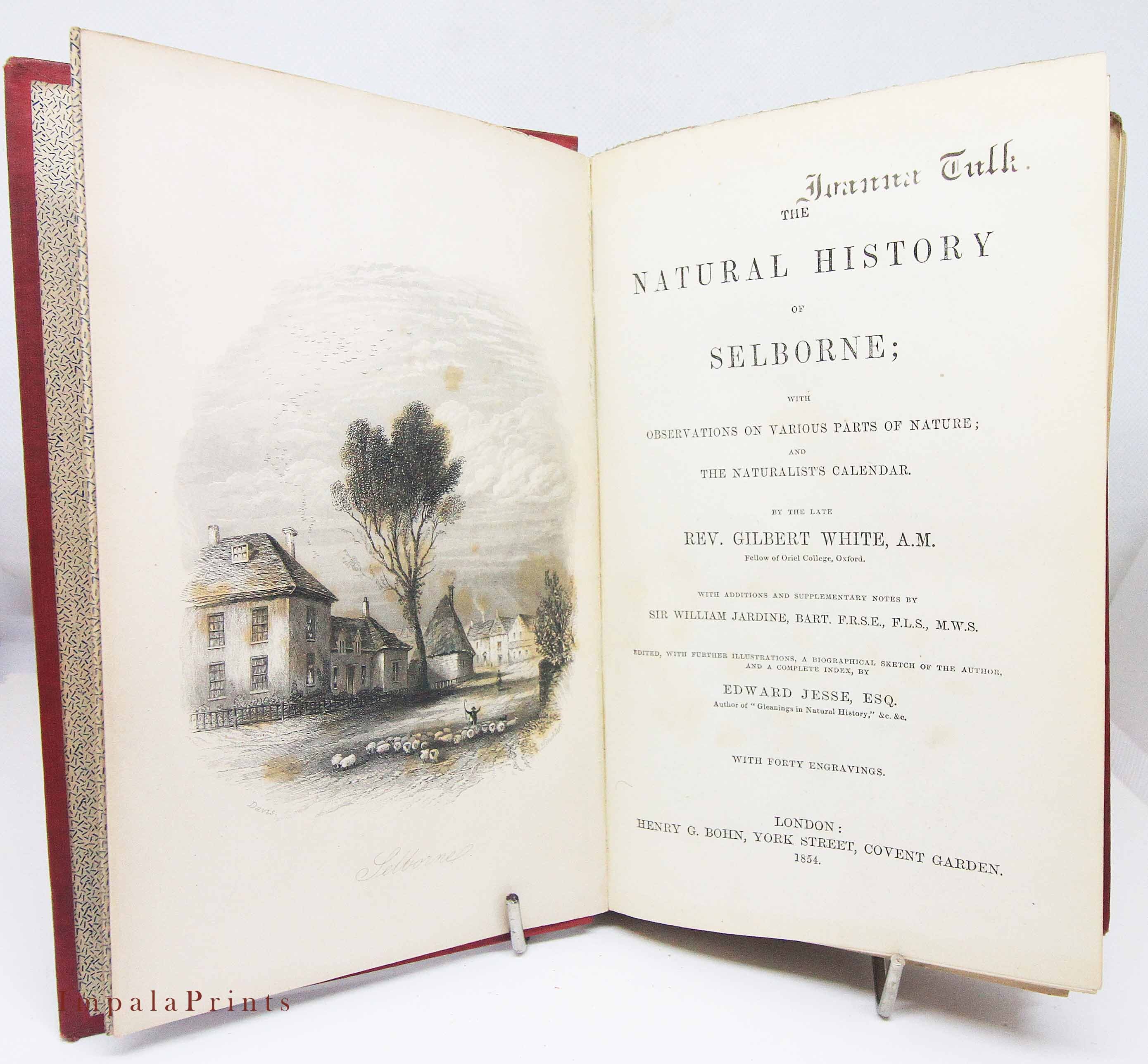 Natural History Selborne illustrated Lithographs Hardback vintage Antique book 1854 Nature Book Gilbert White Illustrated Nature