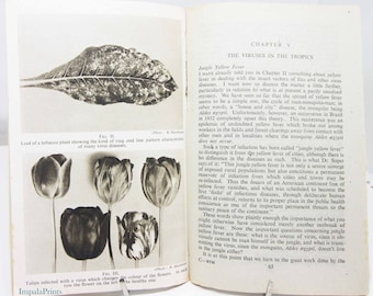 Beyond the Microscope Science book Biology Illustrated guide to the old guide diagrams and text