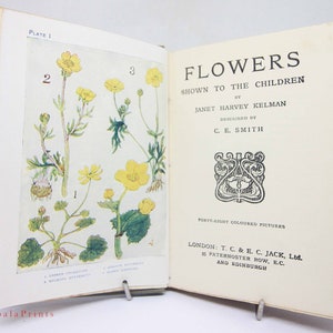 Flower Book antique Vintage, 1910s Attractive colour illustration children's Gardening Guide Antique image 5