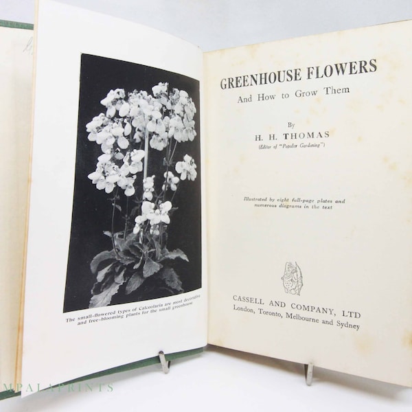 Antique Greenhouse Etsy