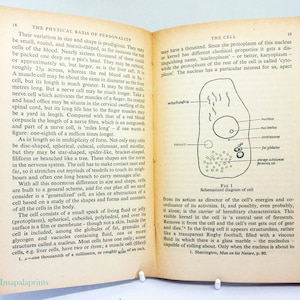 Personality Phisical Basis 1950s Psychology Pelican Series Vintage Factual book paperback Medical science gift