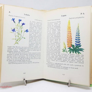 Vintage Garden Flowers Illustrated Plants Flower Picture book Flowers guide Old Retro