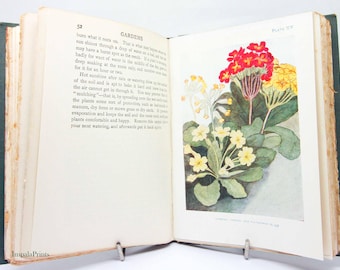 Antique Flower Guide Book Vintage Botanical Book, Botanical Illustrations, Children’s Gardening Book, Flower & Wildlife Guide, Nature Book