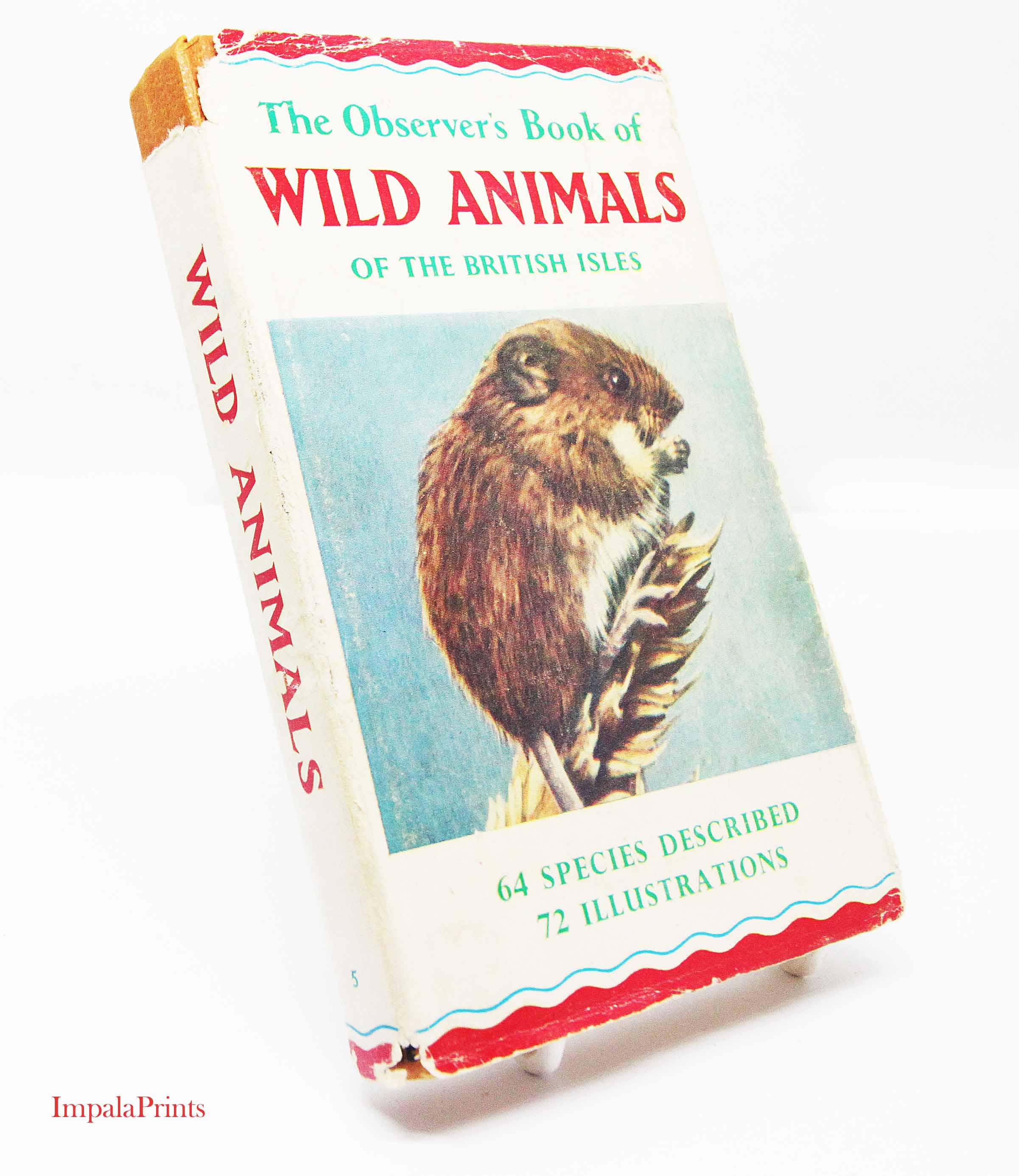 Vintage 1960s British Isles Wildlife Guide | Antique Nature
