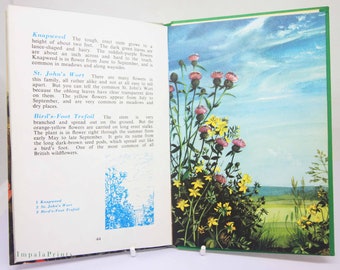 Wild Flowers 1950s Guide ladybird book, vintage Book with Illustrations Childrens Gift guide Hardbacks.