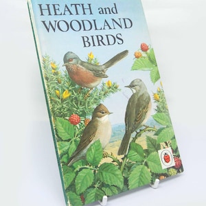 Illustrated bird book Heath & woodland Ladybird book Nature Hardback 1968 Bird Spotting, with Illustrated Ornithology guide