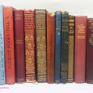 Adopt an Antique 100 + Jahre altes Schaubuch Hochzeiten Vintage-Bücher Geliebte gebundene Bücher Vintage Buch für Buchliebhaber