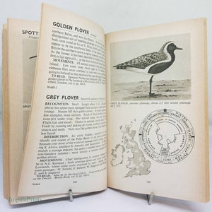Bird Recognition Vintage 1947 Bird Spotting, gift ideas Paperback Book Illustrated Ornithology vintage gifts guide