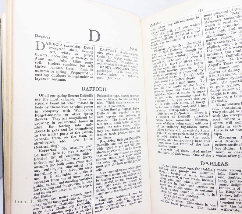 May include: Open book with text about Daffodils and other flowers. The page features detailed descriptions and classifications of various plant species, with headings and subheadings.