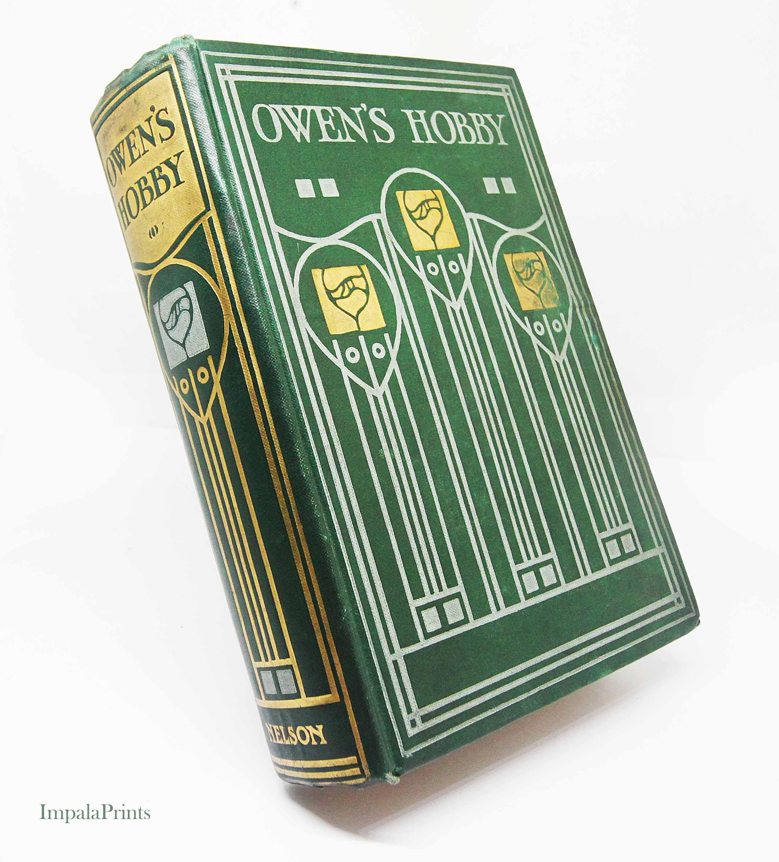 オーウェンの趣味 1914年 フィクション グリーン小説 イラスト入り