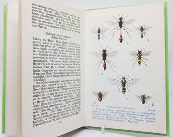 Insects Guide Vintage - Colour plates Vintage Hardback Natural History gift Illustrated