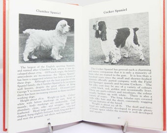 Chiens-guides illustrés, images illustrées au Royaume-Uni, livres illustrés de poche sur les races de collection vintage, cadeaux pour animaux de compagnie