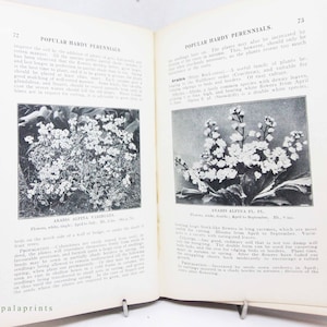 Popular Hardy Perennial Vintage Books illustrated 1910s old book Famous garden design and flower guide antique