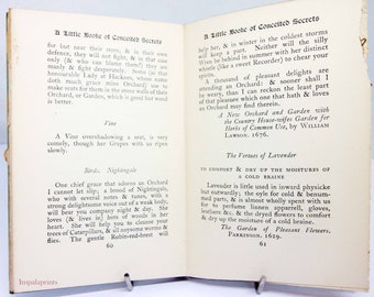 Das kleine Buch der eingebildeten Geheimnisse und Freuden für Damen, 1928, Geschichte, illustrierte Geschichten, Geschenke, illustrierte Bücher mit Bildern