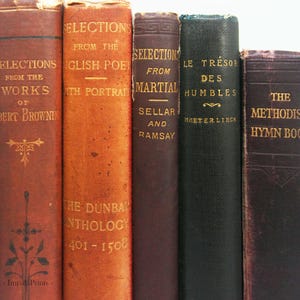 Antique and vintage Adopt a Book, old books Loved hardback books Vintage Book for book lovers image 6