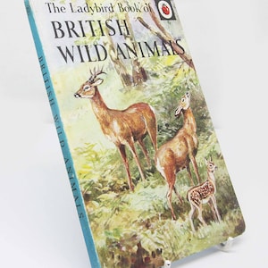 British Wild Animals 1950s Vintage Book with Illustrations Ornithology Red guide nature