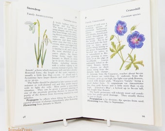 Vintage Garden Flowers Illustrated Plants Flower Picture book Flowers guide Old Retro