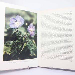 Book of Wild flowers Illustrated Guide Flower Picture book guide Vintage Garden Vintage books