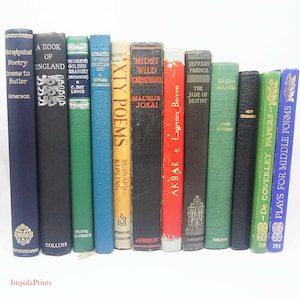 Vintage Books, Adopt a Book Display shelves hardback books Vintage Book for book lovers,