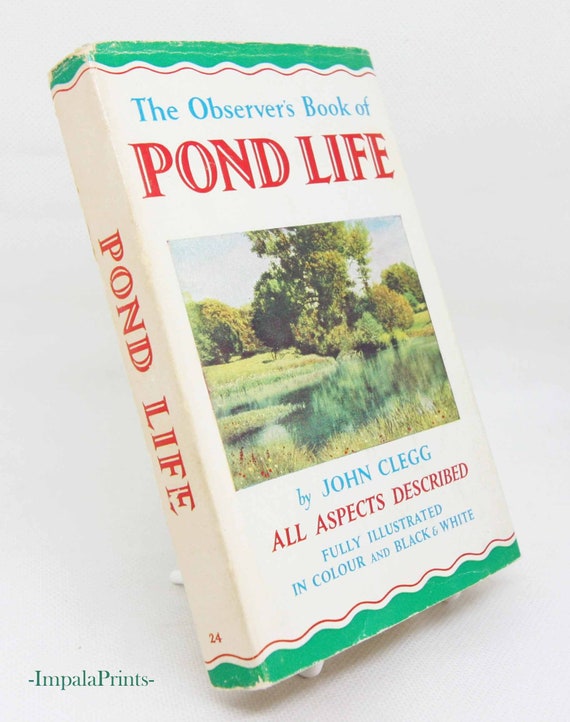 Pond Life Guide Vintage Colour Plates Vintage Hardback Etsy
