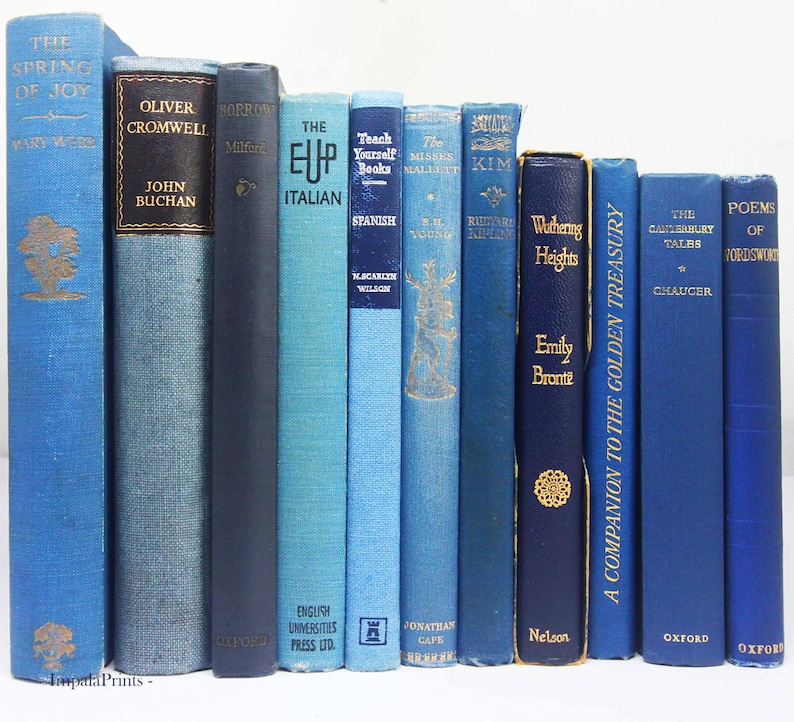 Antique and vintage Adopt a Book, old books Loved hardback books Vintage Book for book lovers image 7