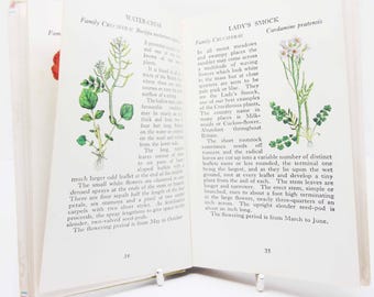 Vintage book Wild Flowers Illustrated Plants Flower Picture book gifts Flowers guide Old Retro Vintage gifts