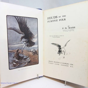 Feauds of Furtive Folk Antique Vintage old book Childrens Stories illustrated gift kids book childs