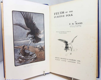 Feauds of Furtive Folk Antique Vintage old book Childrens Stories illustrated gift kids book childs