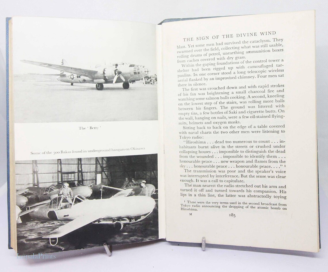 Pierre Clostermann Air combat Biography Flames in the Sky 1953 World War Two aviation Aircraft Vintage book Wartime flight Military RAF, foto 2 de 5