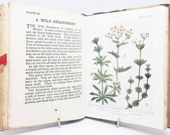 Flower Book Vintage, Attractive colour illustration Gardening Guide Antique vintage books garden gifts