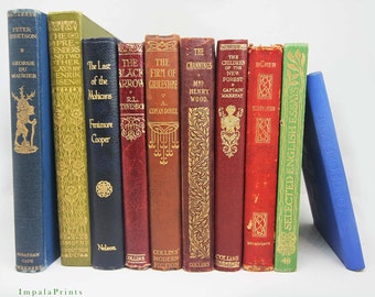 Adopt an Antique Book Worn Loved hardback books Vintage Book for book lovers