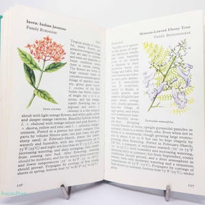 Vintage flower hardback book on House Plants Illustrated picture book Flowers guide Old Retro