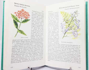 Vintage flower hardback book on House Plants Illustrated picture book Flowers guide Old Retro