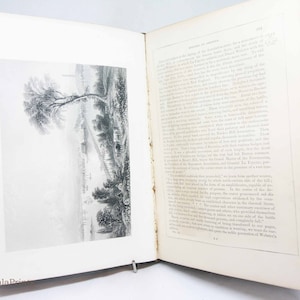 History of the United States 1900s Antique vintage book War illustrated History United states History Spanish war