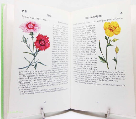 Vintage Garden Flowers Illustrated Plants 60s Flower Picture Book