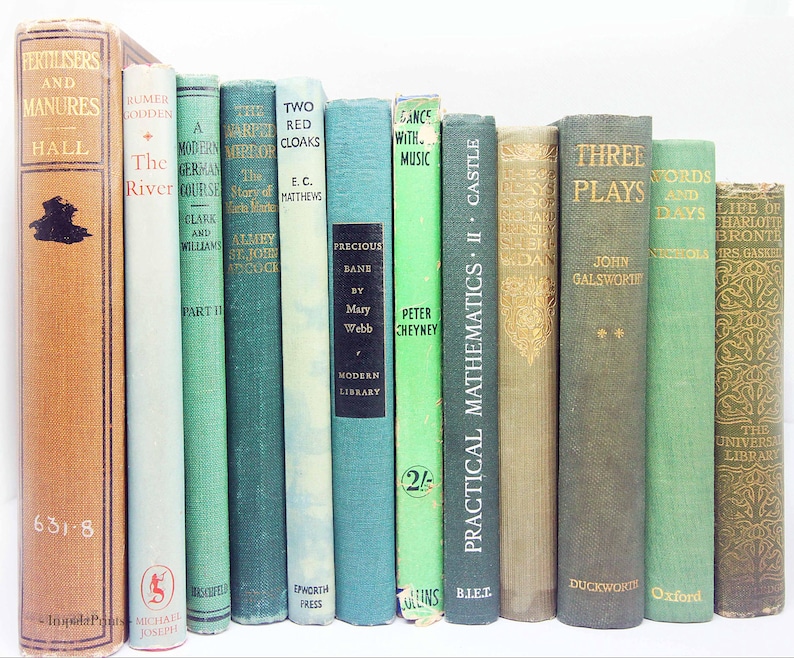 Antique and vintage Adopt a Book, old books Loved hardback books Vintage Book for book lovers image 9