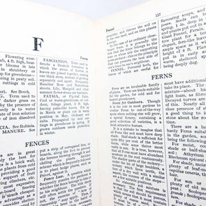 May include: Open book with text about plants and gardening terms. The left page features the word "Fabiana" and the right page has "Fennel" and "Ferns". The pages are yellowed with age.