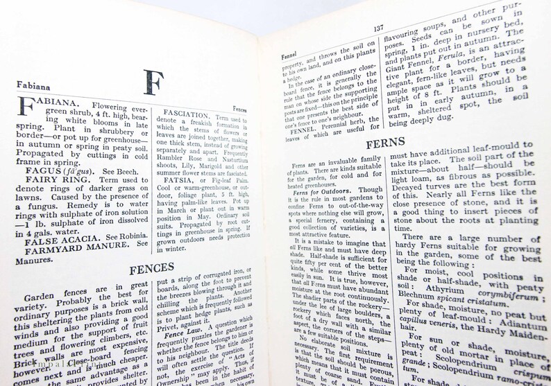 May include: Open book with text about plants and gardening terms. The left page features the word "Fabiana" and the right page has "Fennel" and "Ferns". The pages are yellowed with age.